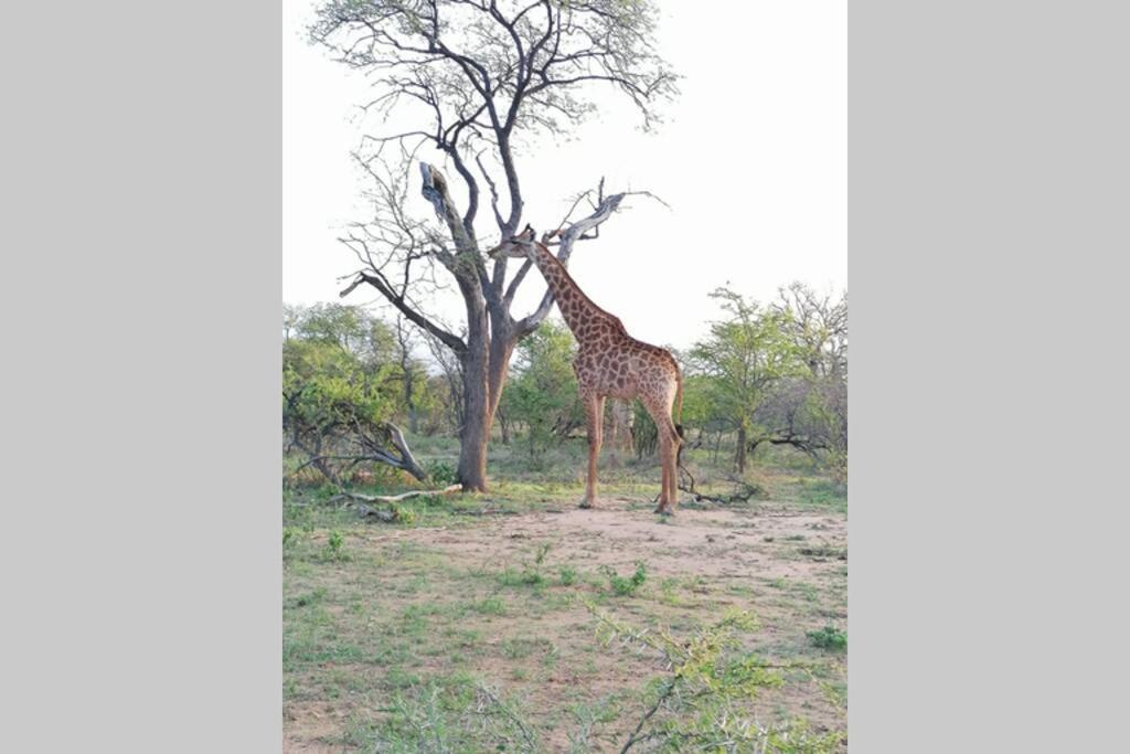 フッドスプルイト Amukela Kayaヴィラ エクステリア 写真